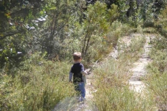 Blue-Mountains-Outdoor-Ed