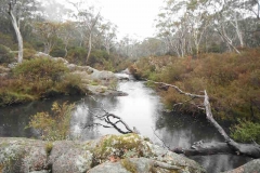 Morong-Creek-Perch-Pool