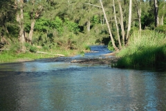 Nepean-River-Fishing-Trip