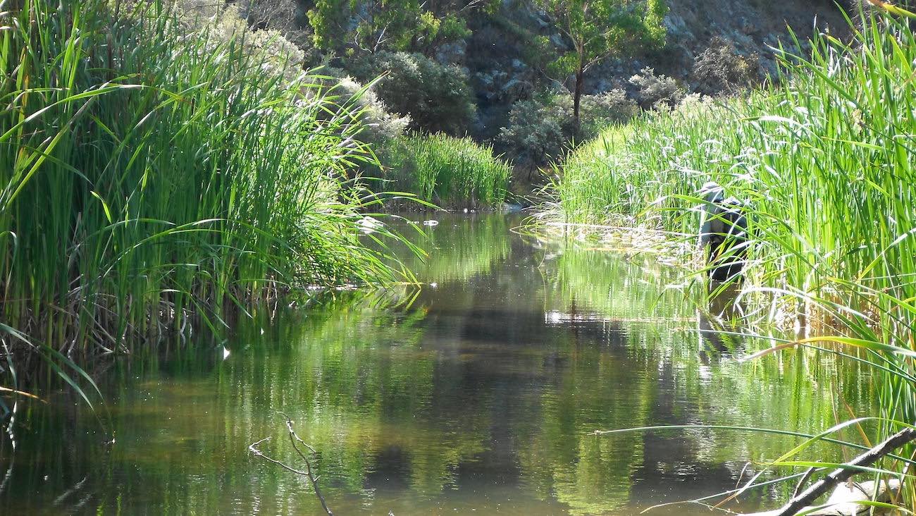 //mtdan.com.au/wp-content/uploads/2016/11/CoxsRvFlyFishermanComp.jpg