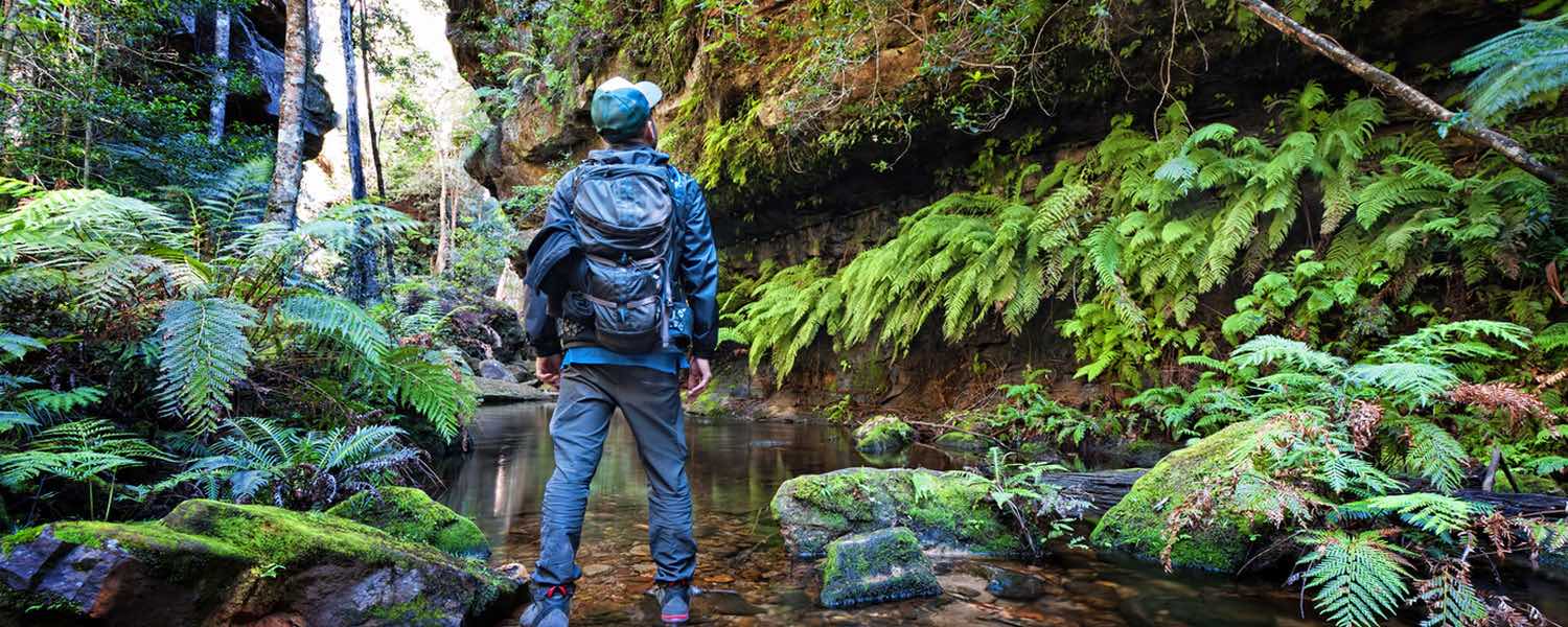 Come on an adventure with Mt Dan